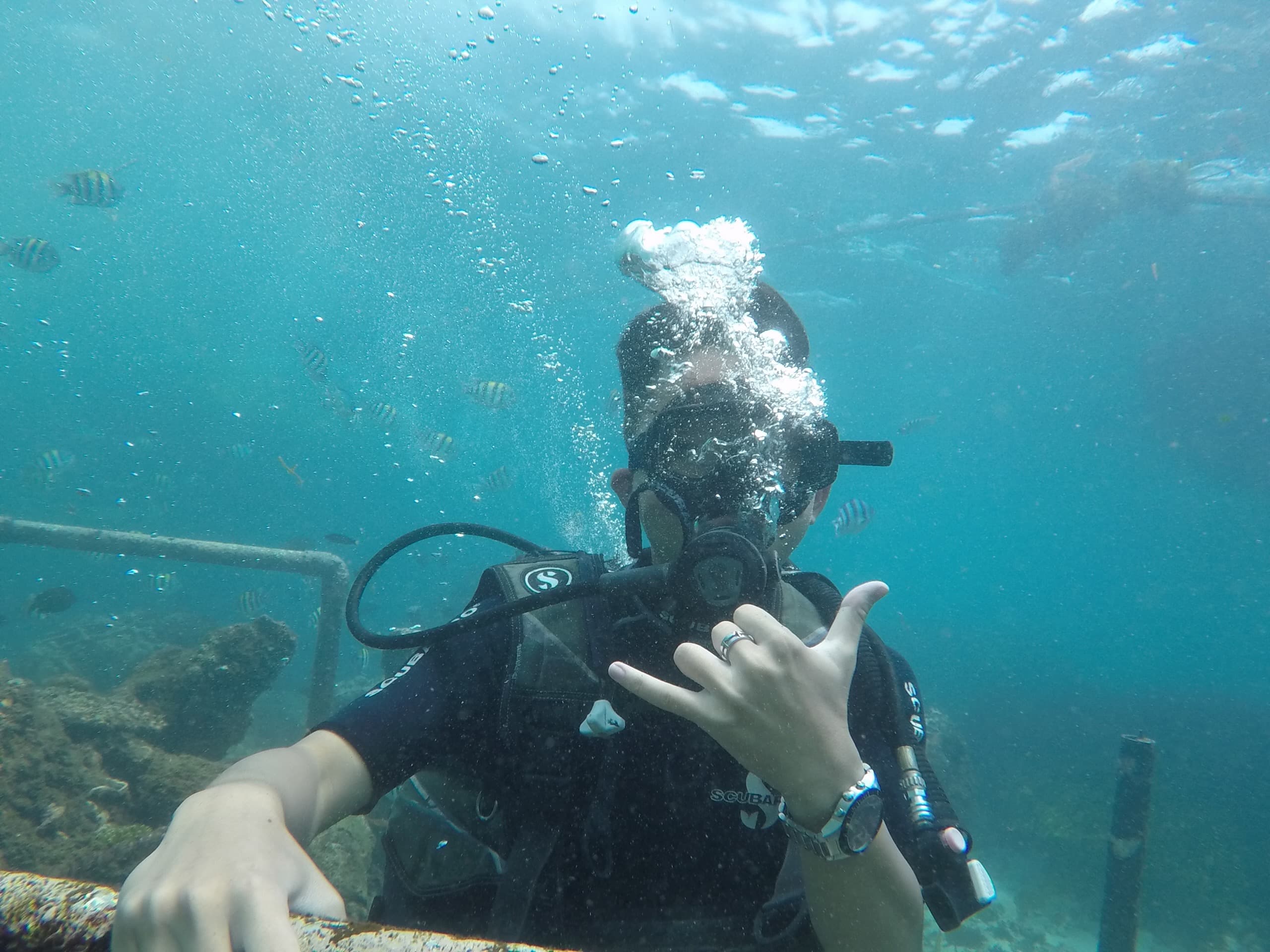 Diving Image